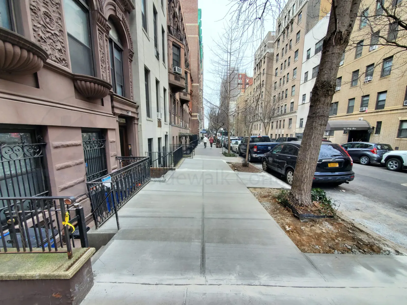 Finished concrete sidewalk on a brownstone block with street trees, sidewalk repair by Sidewalk Repair Near Me in NYC