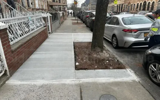New concrete and curb edge around a tree pit in front of a fenced row house