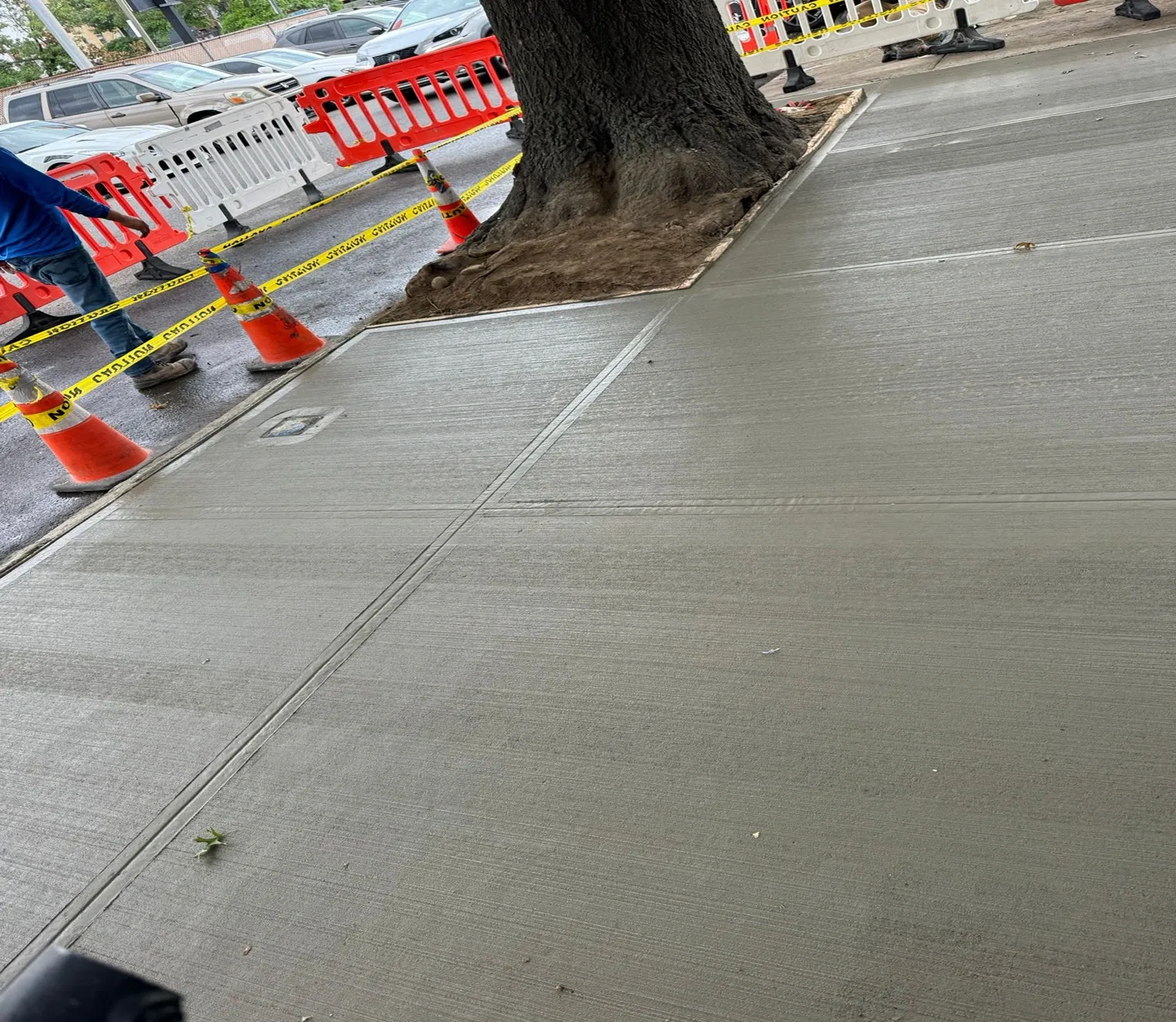 Fresh concrete sidewalk poured around a large street tree, concrete work by Sidewalk Repair Near Me in NYC