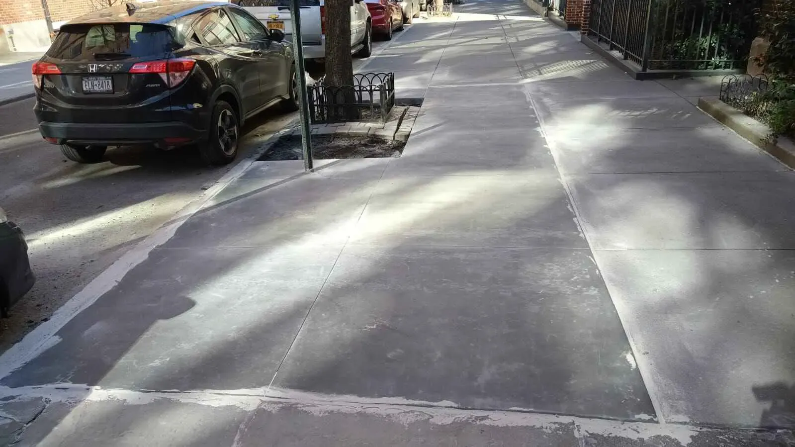 New concrete sidewalk with a street tree pit beside parked cars, sidewalk repair by Sidewalk Repair Near Me in NYC