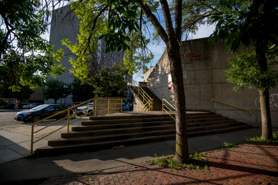 Concrete steps with yellow railings beside a street tree