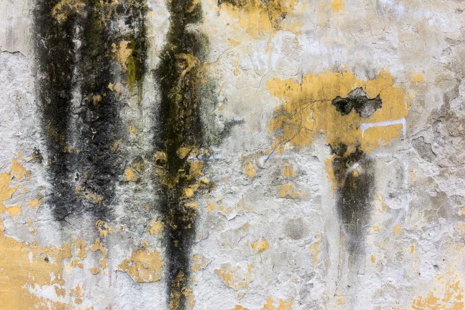 Wall with dark water streaks and a peeling finish